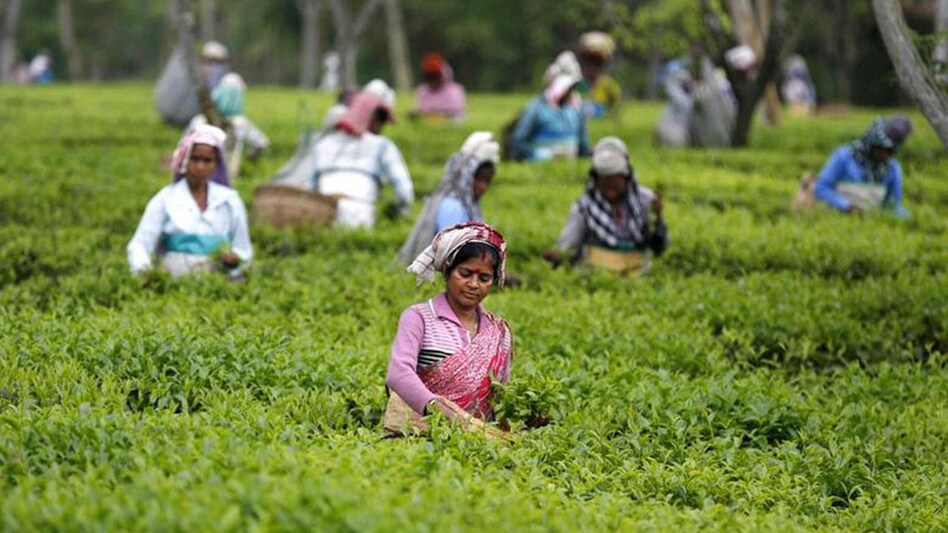 It is to be noted that PM-DevINE was announced in the Union Budget 2022-23 to address development gaps in the North Eastern Region (NER). It is to be noted that PM-DevINE was announced in the Union Budget 2022-23 to address development gaps in the North Eastern Region (NER).