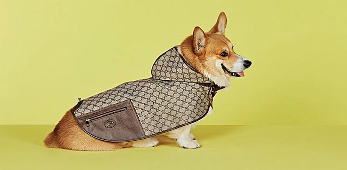 With luxury houses upping the fashion game for your pets, man's best friend just got a whole lot more chic With luxury houses upping the fashion game for your pets, man's best friend just got a whole lot more chic