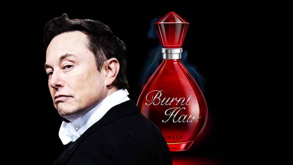 Burnt Hair perfume going live on The Boring Company website should not come as a surprise. Burnt Hair perfume going live on The Boring Company website should not come as a surprise.