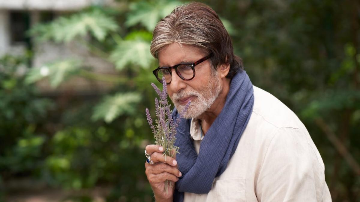Amitabh Bachchan 80th birthday: Fans go crazy as they share movie clips from Big B's iconic performances Amitabh Bachchan 80th birthday: Fans go crazy as they share movie clips from Big B's iconic performances