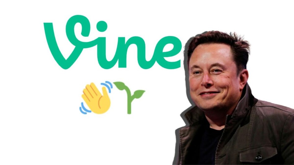 What is Vine and why is Elon Musk interested in reviving this dead Twitter service? What is Vine and why is Elon Musk interested in reviving this dead Twitter service?