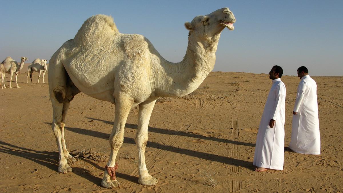 Representative image Representative image