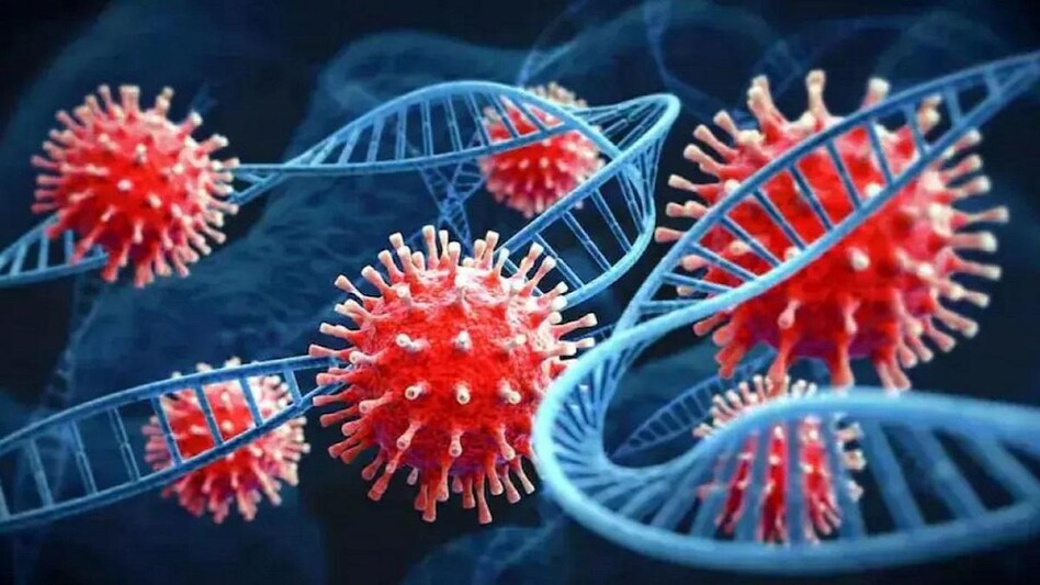 The government on Saturday said RT-PCR test would be made mandatory for passengers from China, Japan, South Korea, Singapore and Thailand The government on Saturday said RT-PCR test would be made mandatory for passengers from China, Japan, South Korea, Singapore and Thailand