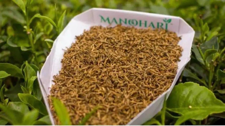 In December 2021, Manohari Gold tea was auctioned off for Rs 99,999 per kilogramme In December 2021, Manohari Gold tea was auctioned off for Rs 99,999 per kilogramme