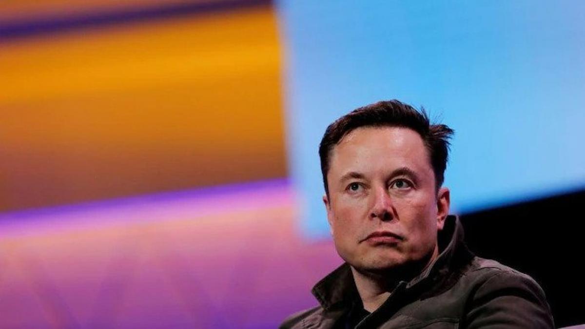 Elon Musk tells Tesla workers not to be 'bothered by stock market craziness'