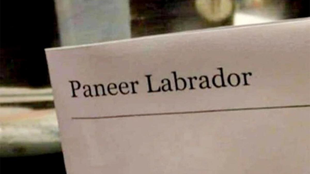 ‘Perils of autocorrect’: Restaurant serves paneer ‘labrador’ instead of 'lababdar'