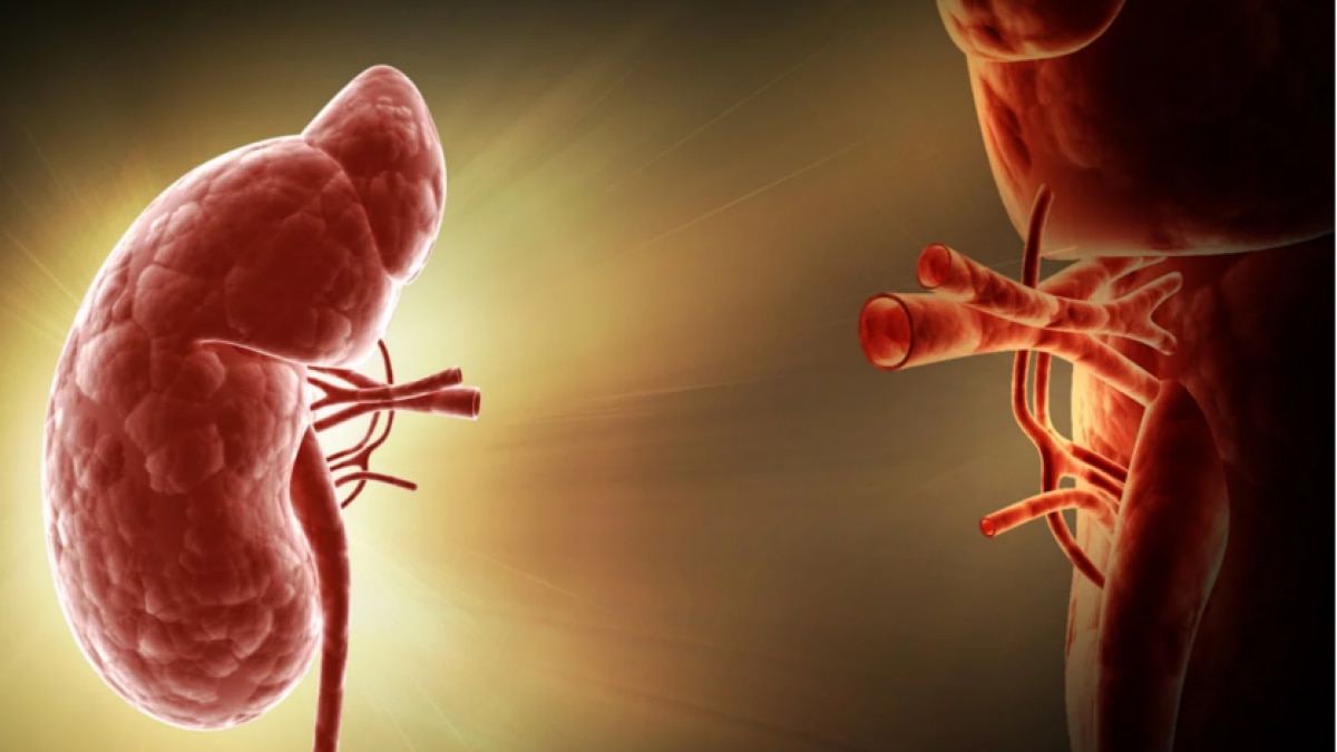 Almost 90 per cent survive past the one-year mark of undergoing surgery, 70 to 80 per cent past the five-year mark, and 50 to 60 per cent past the ten-year mark. Almost 90 per cent survive past the one-year mark of undergoing surgery, 70 to 80 per cent past the five-year mark, and 50 to 60 per cent past the ten-year mark.