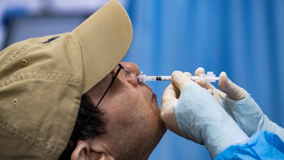 Covid-19 Nasal vaccine dose available on CoWIN portal: how to book appointment online Covid-19 Nasal vaccine dose available on CoWIN portal: how to book appointment online