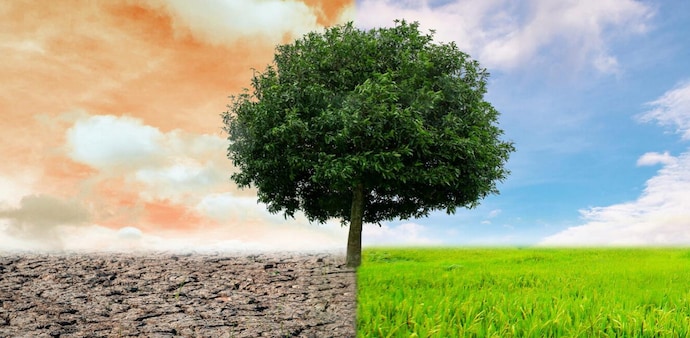 Since the Paris Agreement was signed in 2015, there has been a sharp increase in the number of companies setting net zero targets. Since the Paris Agreement was signed in 2015, there has been a sharp increase in the number of companies setting net zero targets.