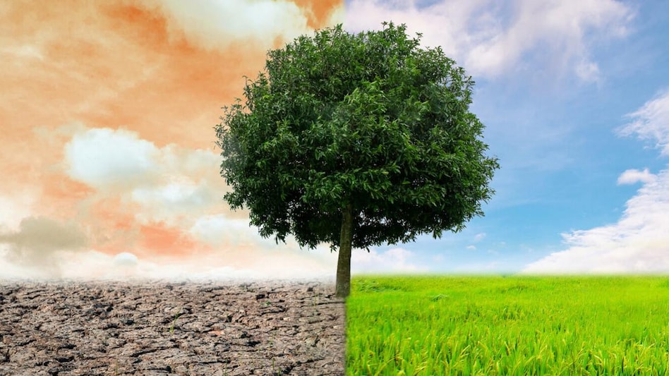 Since the Paris Agreement was signed in 2015, there has been a sharp increase in the number of companies setting net zero targets. Since the Paris Agreement was signed in 2015, there has been a sharp increase in the number of companies setting net zero targets.