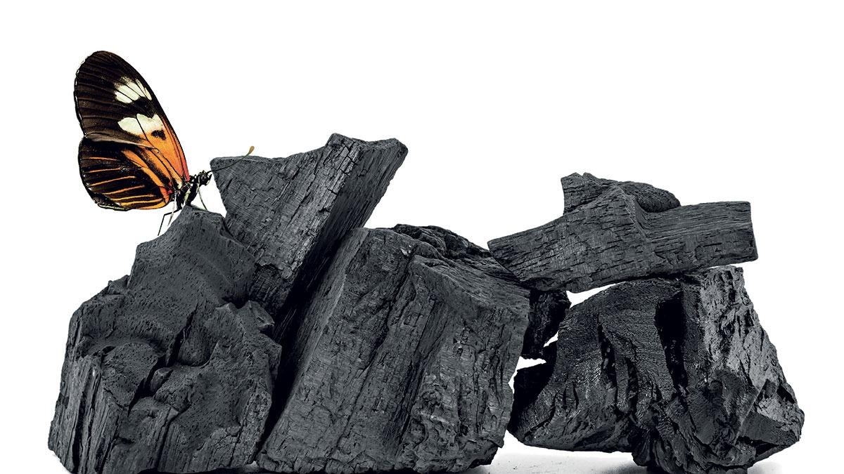 Accounting for about 75 per cent of the industrial carbon footprint, focus on Scope 3 emissions by organisations may help the country achieve its net zero target Accounting for about 75 per cent of the industrial carbon footprint, focus on Scope 3 emissions by organisations may help the country achieve its net zero target