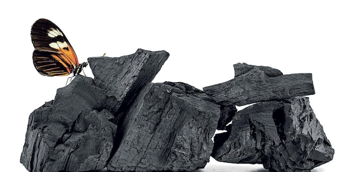 Accounting for about 75 per cent of the industrial carbon footprint, focus on Scope 3 emissions by organisations may help the country achieve its net zero target Accounting for about 75 per cent of the industrial carbon footprint, focus on Scope 3 emissions by organisations may help the country achieve its net zero target