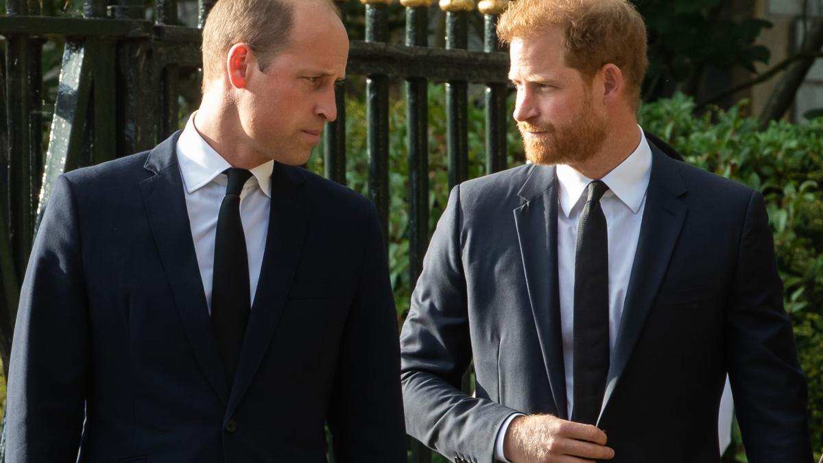'I was brought into the world in case something happened to Willy': Prince Harry says he was born to offer spare organs to Prince William (Photo: NBC news) 'I was brought into the world in case something happened to Willy': Prince Harry says he was born to offer spare organs to Prince William (Photo: NBC news)
