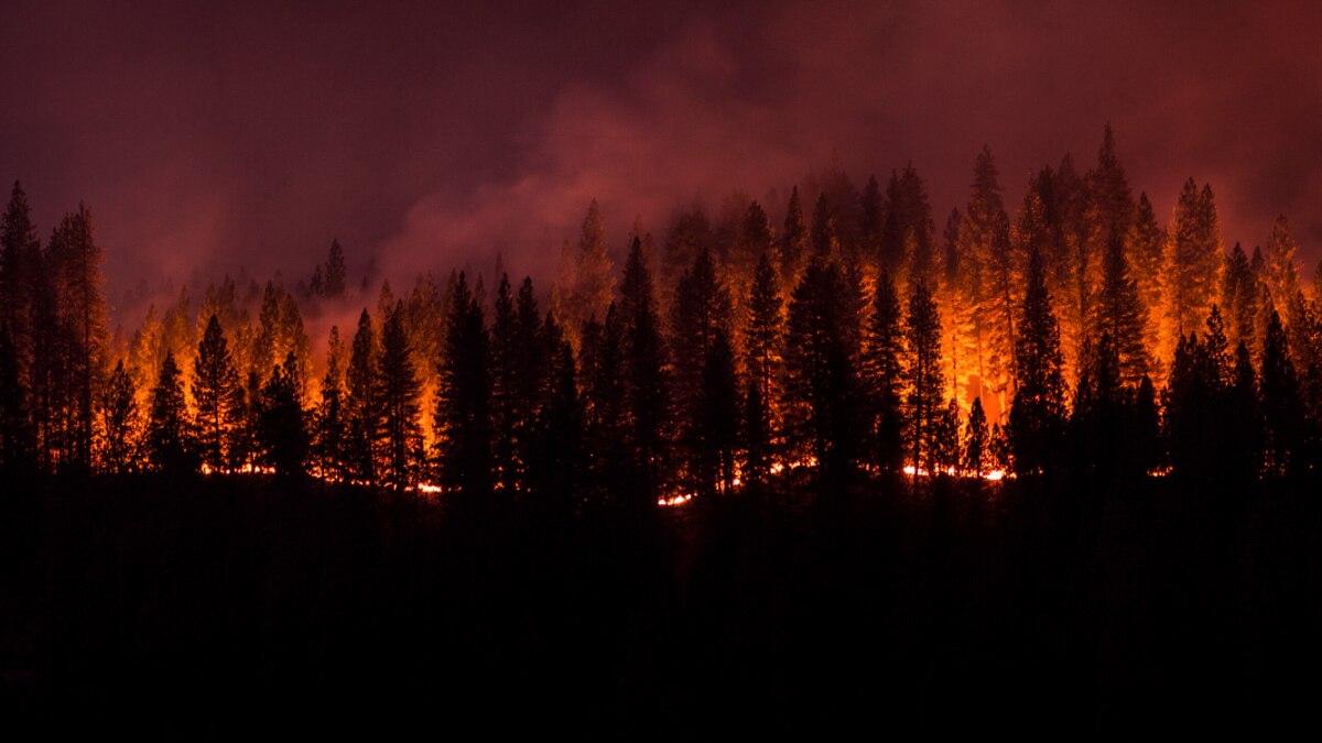 The World Meteorological Organization predicts that by 2050 there can be an increase in extreme fires globally. The World Meteorological Organization predicts that by 2050 there can be an increase in extreme fires globally.