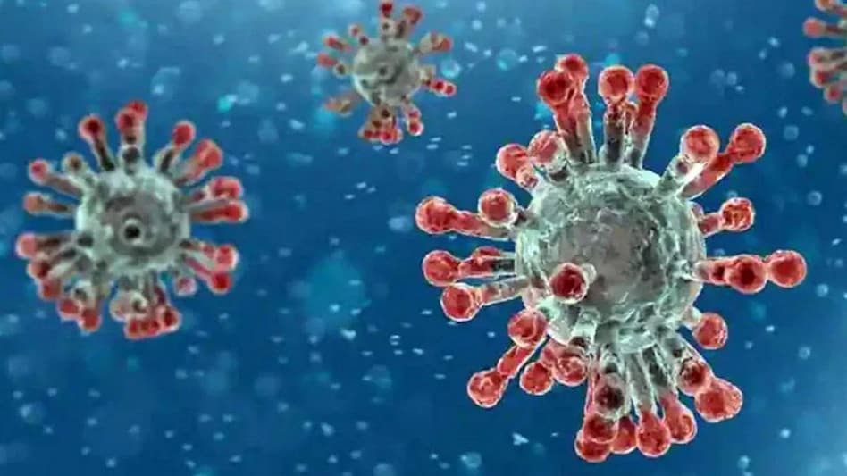 भारत में Omicron के 11 सब-वेरिएंट मिले - Omicron has 11 sub-variants available in India.