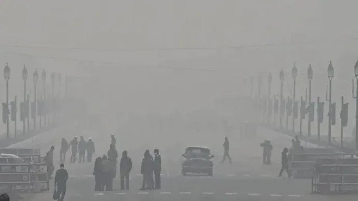 Delhi weather update: Cold wave, dense fog continue; flights, trains delayed