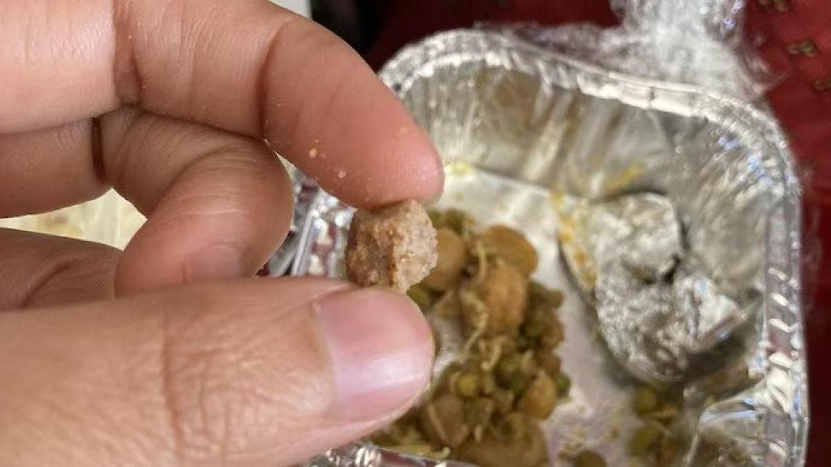 Amid 'pee gate' row, passenger finds stone in Air India in-flight meal; airline responds