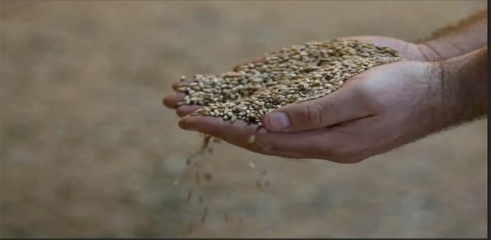 As per UN Development Programme (UNDP), soaring food and energy prices have resulted in 71 million people in developing countries falling into poverty As per UN Development Programme (UNDP), soaring food and energy prices have resulted in 71 million people in developing countries falling into poverty