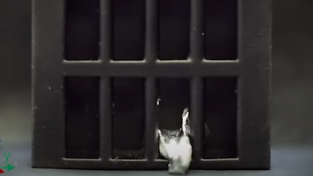 A sea cucumber was one of the inspirations for the project. A sea cucumber was one of the inspirations for the project.