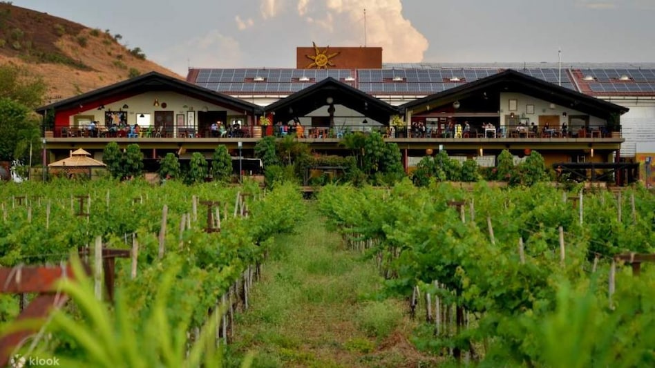 Sula Vineyards' shares rose 10 per cent to Rs 357 on Monday, before giving up its gains marginally. The recent debutant had settled at Rs 325.45 on Friday. Sula Vineyards' shares rose 10 per cent to Rs 357 on Monday, before giving up its gains marginally. The recent debutant had settled at Rs 325.45 on Friday.