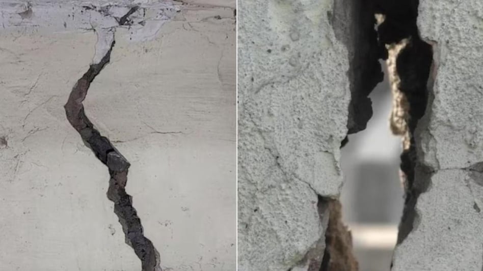 The Municipal Corporation’s Additional Commissioner, Rakesh Kumar Yadav, took cognizance of the issue and said that all necessary actions would be taken by the civic body. (Image: ANI) The Municipal Corporation’s Additional Commissioner, Rakesh Kumar Yadav, took cognizance of the issue and said that all necessary actions would be taken by the civic body. (Image: ANI)