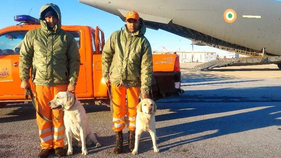Romio and Julie, members of the dog squad for the National Disaster Response Force (NDRF), were crucial in finding 6-year-old Nasreen under tonnes of debris Romio and Julie, members of the dog squad for the National Disaster Response Force (NDRF), were crucial in finding 6-year-old Nasreen under tonnes of debris