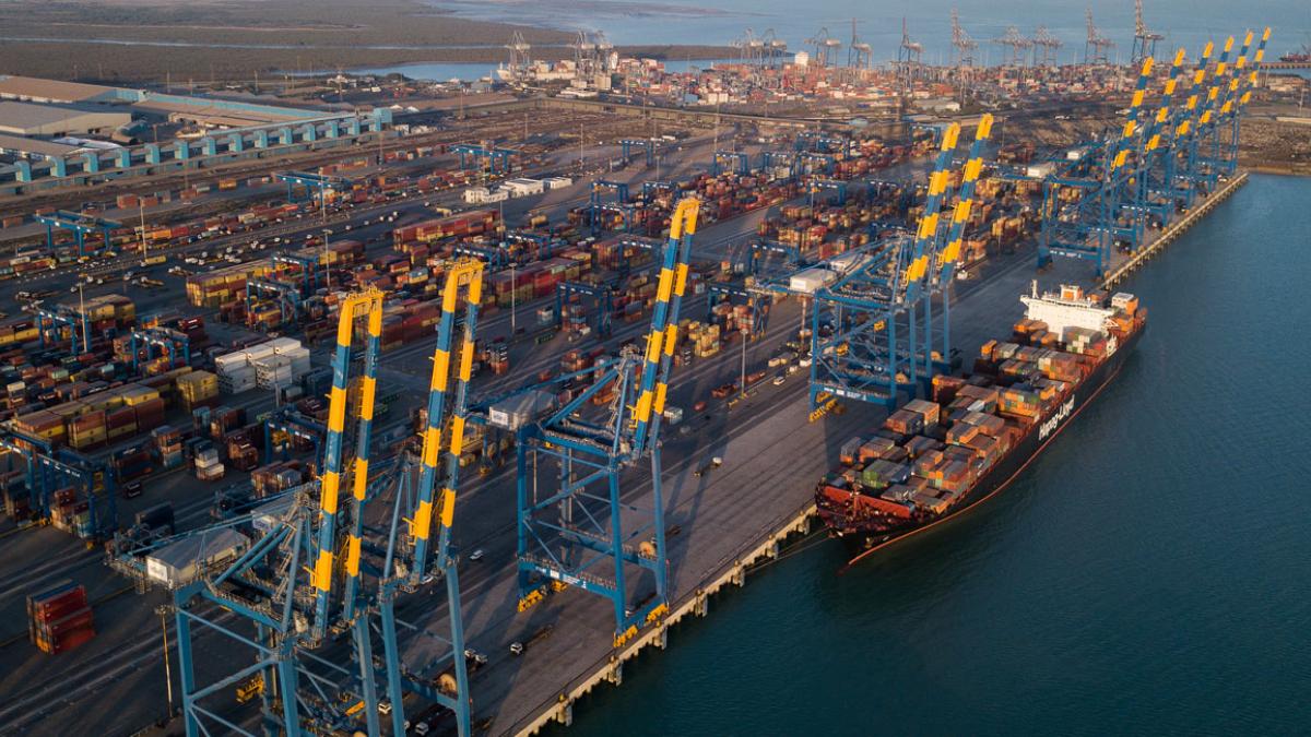 Adani Ports, along with other Adani Group stocks, has been reeling under the intense selling pressure ever since Hindenburg Research's report was made public on January 24. Adani Ports, along with other Adani Group stocks, has been reeling under the intense selling pressure ever since Hindenburg Research's report was made public on January 24.