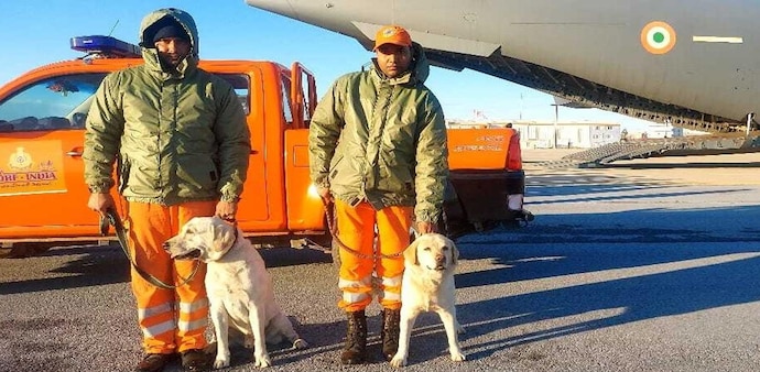 This Labrador breed dog squad is specially trained and are expert in sniffing and other critical skills required during rescue operations in disaster-hit regions (Image ANI) This Labrador breed dog squad is specially trained and are expert in sniffing and other critical skills required during rescue operations in disaster-hit regions (Image ANI)