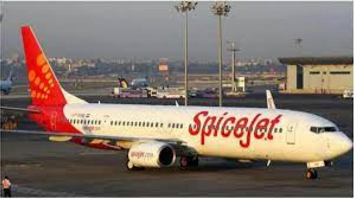 Spicejet shares have rebounded strongly from multi-year lows earlier this month Spicejet shares have rebounded strongly from multi-year lows earlier this month