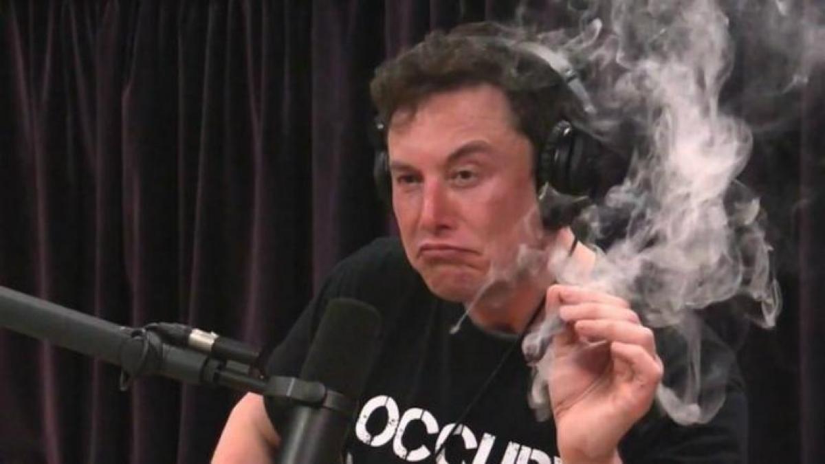 Elon Musk is currently the CEO of Twitter Elon Musk is currently the CEO of Twitter