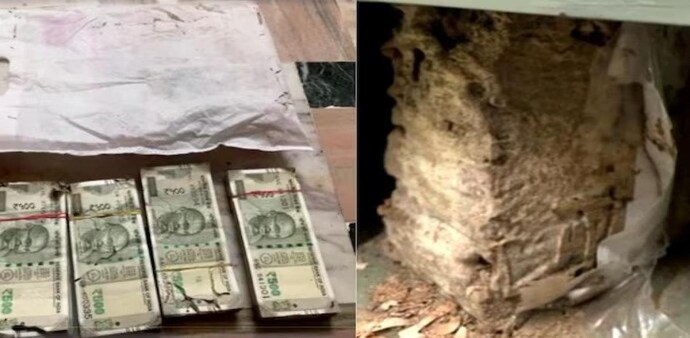 Rs 2 lakh was placed in a fabric bag, while Rs 15,000 were kept outside the bag. Rs 2 lakh was placed in a fabric bag, while Rs 15,000 were kept outside the bag.