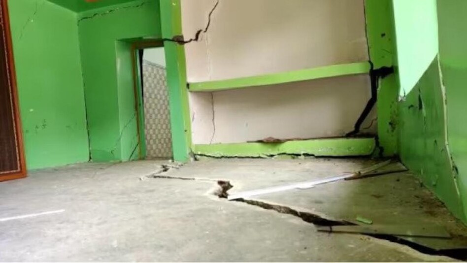 Experts are suggesting that replantation in the region, especially at the vulnerable sites, to retain soil capacity is the only option Experts are suggesting that replantation in the region, especially at the vulnerable sites, to retain soil capacity is the only option