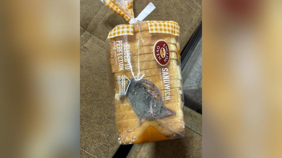Nitin Arora shared his terrible experience on Twitter. He posted videos and pictures of a rodent moving around inside a bread packet Nitin Arora shared his terrible experience on Twitter. He posted videos and pictures of a rodent moving around inside a bread packet