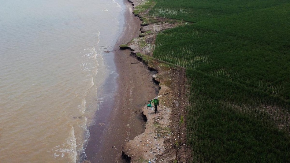 Applications are still being accepted for the five open positions even though the job was posted 24 days ago Applications are still being accepted for the five open positions even though the job was posted 24 days ago