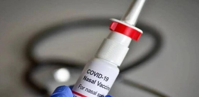Bharat Biotech has developed capacity to make 10 mn doses of nasal vaccine against COVID-19, top exec says Bharat Biotech has developed capacity to make 10 mn doses of nasal vaccine against COVID-19, top exec says