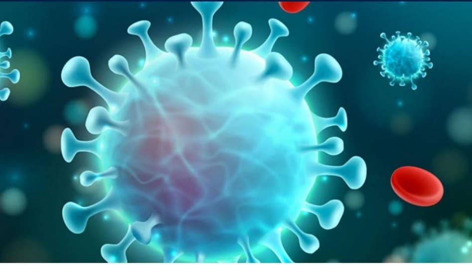 The novel diagnostic test may replace existing procedures that can only detect a single infection The novel diagnostic test may replace existing procedures that can only detect a single infection