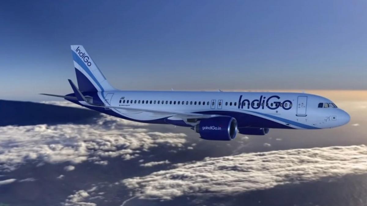The offer floor price at which the IndiGo stock changed hands was Rs 1875 per share. Goldman Sachs was appointed as the broker for the deal. The offer floor price at which the IndiGo stock changed hands was Rs 1875 per share. Goldman Sachs was appointed as the broker for the deal.