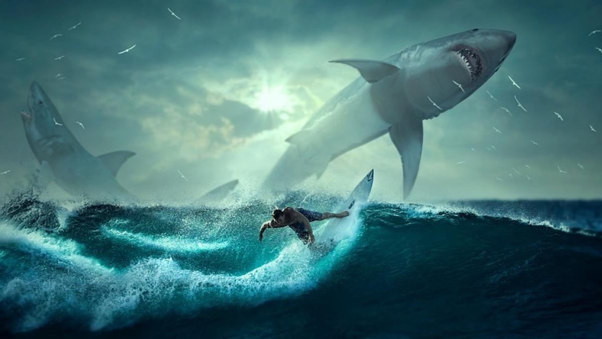 Shah, however, pointed out that promising funding and then completely ghosting the founders creates a lot of difficulties for them. Shah, however, pointed out that promising funding and then completely ghosting the founders creates a lot of difficulties for them.