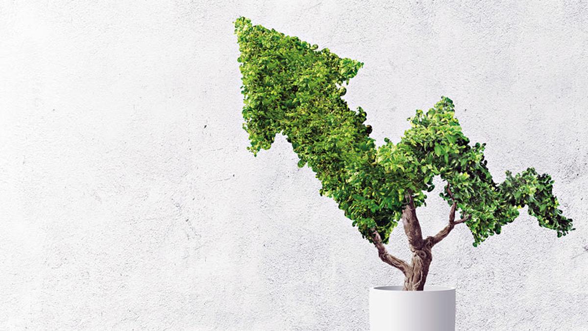 From renewable energy to sustainable agriculture, Indian start-ups are poised to lead the charge in developing innovative solutions From renewable energy to sustainable agriculture, Indian start-ups are poised to lead the charge in developing innovative solutions