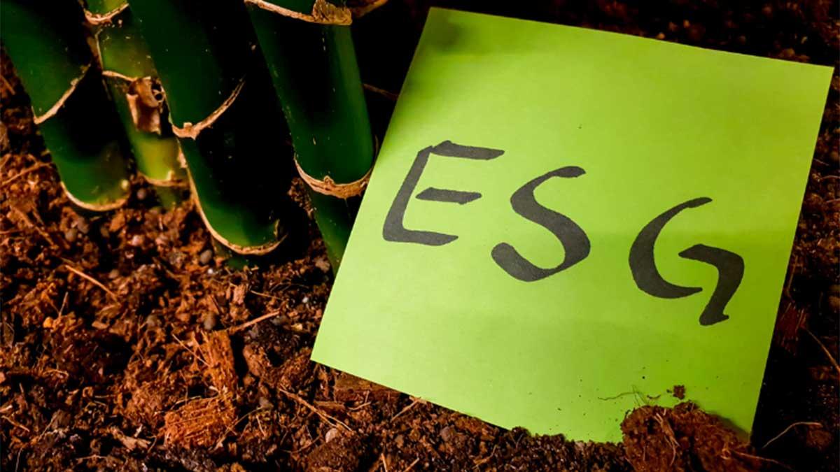 An Introduction of ESG Disclosures in Indian Regulatory Space – Part 2