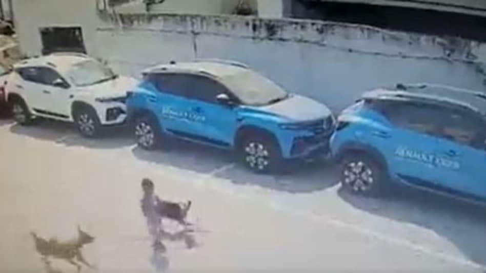 The boy identified as Pradeep, suffered serious injuries in the attack and was rushed to the hospital by his father and others where he was declared dead. The boy identified as Pradeep, suffered serious injuries in the attack and was rushed to the hospital by his father and others where he was declared dead.