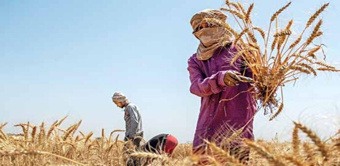 Makers of consumer staples are praying for a normal monsoon and a good harvest to provide a fillip to demand and ease volume pressures Makers of consumer staples are praying for a normal monsoon and a good harvest to provide a fillip to demand and ease volume pressures