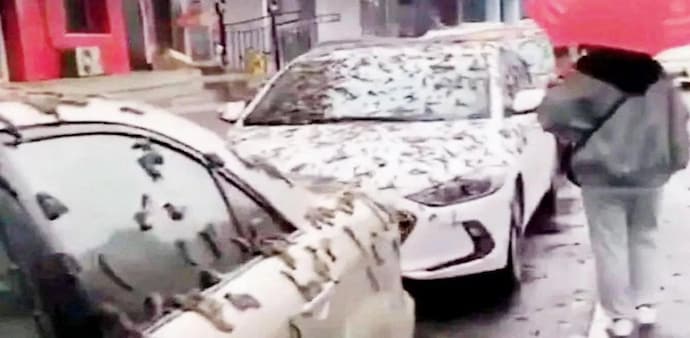The incident in Beijing has undoubtedly piqued the interest of social media The incident in Beijing has undoubtedly piqued the interest of social media