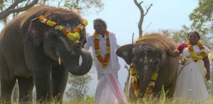 Oscars 2023: The Elephant Whisperers bags Best Documentary Short Film Oscars 2023: The Elephant Whisperers bags Best Documentary Short Film