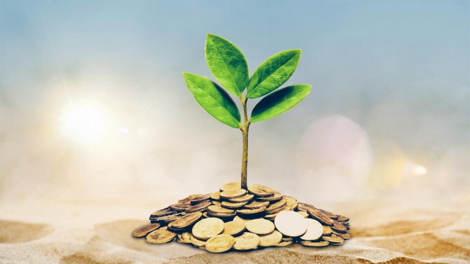 Higher than SBI, HDFC Bank, ICICI Bank: These small finance banks offer up to 9% on FDs Higher than SBI, HDFC Bank, ICICI Bank: These small finance banks offer up to 9% on FDs