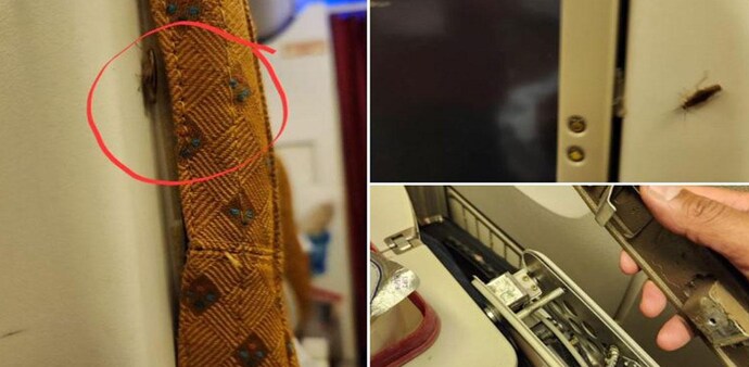 On Monday, the official further enquired how Air India flights from New York have cockroaches and no onboard safety equipment. On Monday, the official further enquired how Air India flights from New York have cockroaches and no onboard safety equipment.