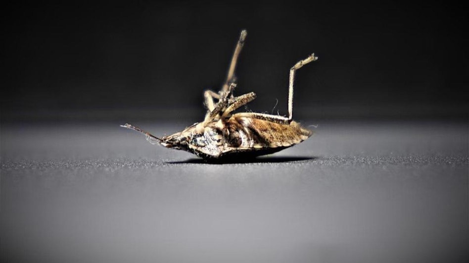 Images from inside the jail reveal Thompson's body as well as the horrifying and filthy circumstances of his cell Images from inside the jail reveal Thompson's body as well as the horrifying and filthy circumstances of his cell