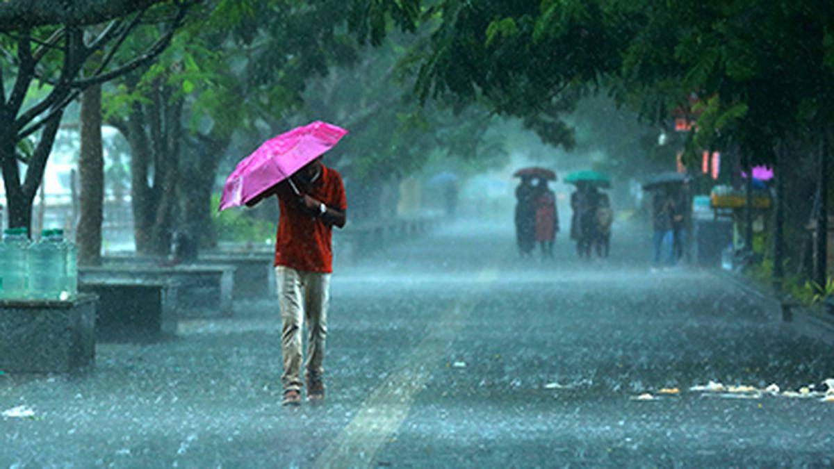 IMD DGM M Mohapatra said El Nino may impact second half of monsoon in July. IMD DGM M Mohapatra said El Nino may impact second half of monsoon in July.