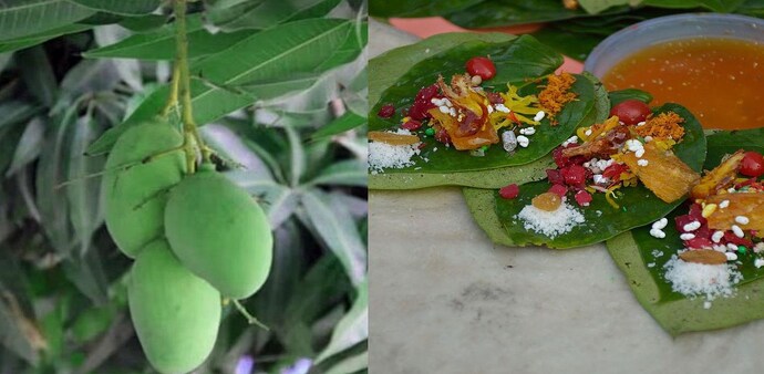 Besides, Banarasi paan and langda mango two more products from the region, Ramnagar Bhanta and Chandausi's adamchini chawal were given the GI tags. Besides, Banarasi paan and langda mango two more products from the region, Ramnagar Bhanta and Chandausi's adamchini chawal were given the GI tags.