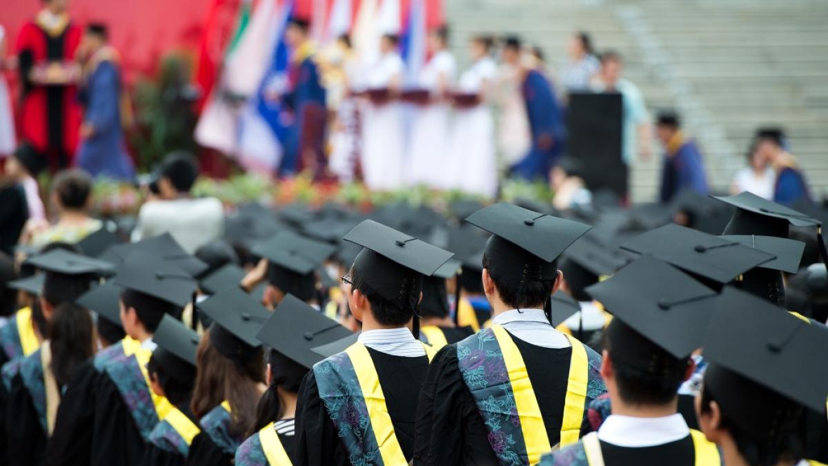 Freshers, new graduates, and low skilled labour will be most impacted by AI Freshers, new graduates, and low skilled labour will be most impacted by AI